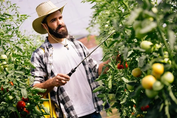 Tudo que você precisa saber sobre pulverizador agrícola