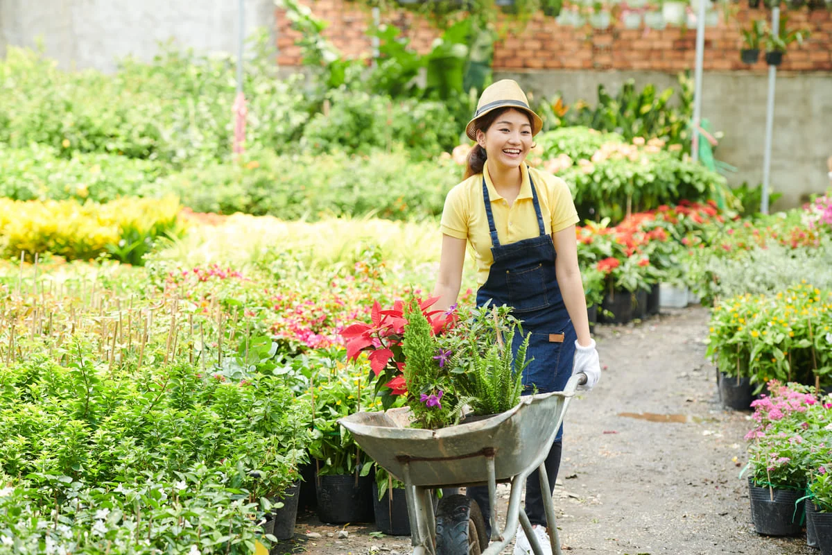 Como transformar o carrinho de mão para jardim em uma floreira?