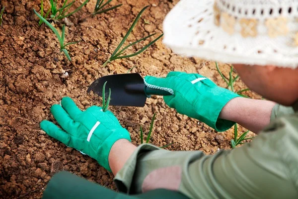 O que faz o jardineiro além de plantar e podar?